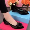 Zapatos de Malla Individuales para Mujer, Tacón Bajo, Versátiles, Zapatos de Malla Hueca para Mujer, Nuevo Estilo Verano 2026, Punta Fina, Sandalias de Tacón Grueso para Mamás