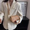 Nicho Único Moda All-match Bolsa de Ombro Feminina 2022 Novo Inverno Trendy Retro Textural Simples Textural Bolsa de Axila
