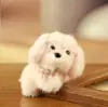 Novo Pingente de Pelúcia de Cachorro Famoso na Internet com Óculos Desenho Animado Animal Chaveiro de Bolsa Boneca Fornecimento Atacado