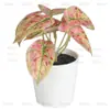 En Stock Hoja Única de Planta Verde Plástico Bonsái Decoración del Hogar Amazon Escritorio Maceta Adorno Pequeño Fabricante de Comercio Exterior