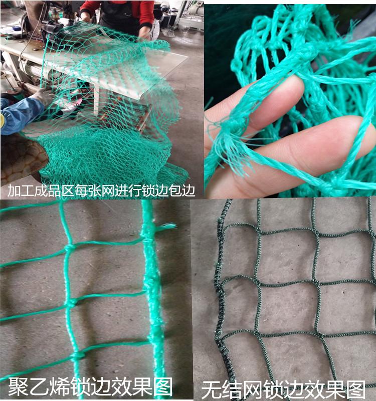 详情9