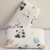 Fronha Pequena de Seda de Gelo para Crianças, Fronha Refrescante de Verão 30X50, Fronha para Travesseiro de Espuma de Memória de Látex 40X60, Ajuste Universal