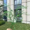 Serie Bosque de Bodas Primavera y Verano 2025 Plantas Verdes Simulación Decoración del Hogar para Bodas Plantas Verdes Artificiales Venta al por Mayor