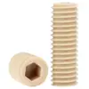 Tornillos de Máquina sin Cabeza de Hexágono Interior Resistentes a Altas Temperaturas Tornillos de Fijación de Punta Plana Tornillos de Fijación con Base de Plástico de Alta Resistencia