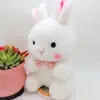 Artículos de Tráfico Transfronterizo Juguetes de Peluche de 8 pulgadas, Muñecos para Máquinas de Garra, Actividades de Lanzamiento de Bodas, Regalos de Muñecos Promocionales