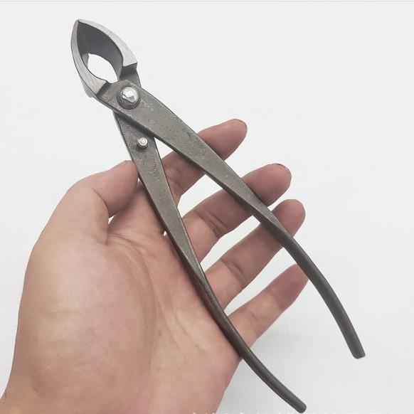 2024-11-12 09:22:50.jpg