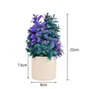 Nova Begônia Artificial Mais Vendida na Amazon Planta Verde em Vaso Estilo Europeu Fresca Decoração para Casa Fábrica Planta Verde Decorativa