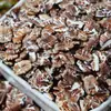 Tabletas de Avena Negra Integral Desayuno Nutritivo Gachas Grano Grueso Dieta Hogareña Productos Multigrano Venta al por Mayor y al por Menor