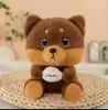 Nuevo puesto de muñecas peluche tamaño pequeño lanzamiento de boda muñeca de nueve pulgadas muñeca de ocho pulgadas máquina de garras Muñeca Muñeca