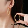 Agujas de Plata con Incrustaciones de Diamantes, Aretes de Metal Torcido, Estilo Nicho, Aretes Exagerados Estilo Frío, Lujo Accesible, Aretes Europeos y Americanos de Alta Gama