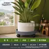 Base de vaso de flores com rodas para casa com rodas universais, bandeja para mover plantas verdes grandes na sala de estar, base de armazenamento coletora de água