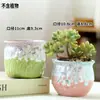 Vaso de Flor Suculenta Planta Suculenta Simples Cerâmica Grossa Areia Roxa Plástico Polegar Pequeno Estiloso Criativo Retrô Especial Trigo Taibao