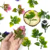 Plantas Aquáticas Artificiais de Plástico Transfronteiriças, Bonsai de Flores Pequenas, Plantas em Vasos, Flores Artificiais, Flores Artificiais Atacado, Adereços para Fotos, Acessórios para Plantas Aquáticas