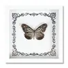 Espécime de Borboleta Real Decoração de Casa DIY Moldura de Madeira para Fotos Suprimentos de Pintura Decorativa Avançada Presente Moderno Presente Criativo