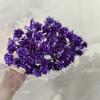 Flor de montanha pequena buquê de flores secas decoração luz luxo high-end diy material real flor air-dried importado espécime material de flor