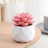 Plantas Verdes Simuladas, Plantas Pequeñas en Maceta, Suculenta Bonsái Flocada con Diamantes, Adornos de Escritorio Creativos, Decoración Nórdica para el Hogar al Por Mayor