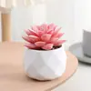 Plantas en Maceta de Suculentas de Diamante Simuladas al por Mayor, Decoración del Hogar, Plantas Suculentas para Oficina, Adornos de Plantas Verdes, En Stock, Entrega Inmediata