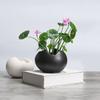 Atacado de fábrica vaso de flor hidropônico retrô europeu cerâmica criativo família transfronteiriça jardinagem vaso de flor suculenta tamanho pequeno