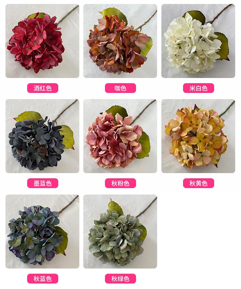 产品颜色-(1).jpg