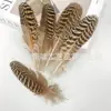 Venda Direta de Fábrica Pronta Entrega Penas de Ninho de Pavão 25-40cm Design de Formatura Artesanato Decorativo DIY Feito à Mão Acessórios para Vestuário