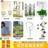 Fábrica de origen para soportes de flores de hierro forjado hechos a medida, soportes para plantas trepadoras y venta al por mayor de suministros para jardinería y paisajismo