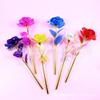 Cor Folha de Ouro 24K Rosa Cravo Dia dos Namorados Dia das Mães Festival Qixi Simulação Luminosa Flor Preservada