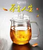 Suministro al por mayor vidrio resistente a altas temperaturas Pingüino olla Vidrio de borosilicato alto Tetera Pingüino tetera de 500 ml