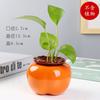 Grande Gedali Desktop Ornamentos Decorativos Recipiente Criativo Vaso Laranja Cerâmica Vaso de Flores Hidropônico Verde Arochus Planta Hidropônica