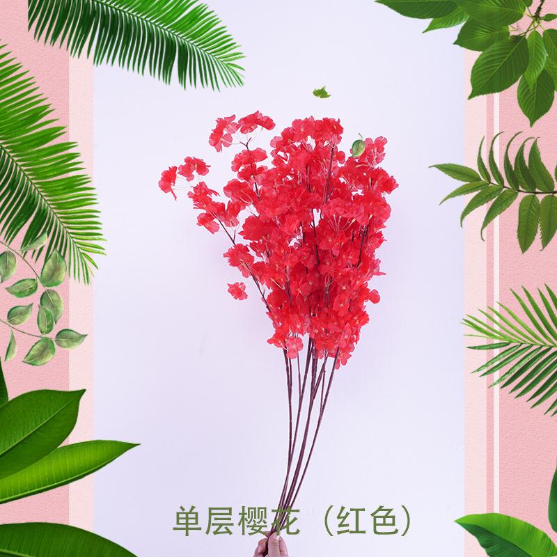 单层樱花（红色）