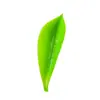 Lanzamiento Nuevo Modelo 2024 Dispositivo de Riego para Flores Perezosas Transfronterizo Riego Ajustable para Plantas en Maceta con Goteador