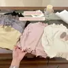 Camiseta básica para niñas con borde de volantes, nueva camiseta de manga larga otoño 2026, top versátil para niñas