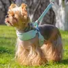 Coleira para animal de estimação nova transfronteiriça alça para cachorro pequeno corda de cachorro alça peitoral atacado Corda de passeio respirável corda de cachorro
