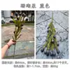 Transfronterizo Nuevo Producto Coral Artificial Fruta Fabricante Fruta de Coral Boda de Otoño Guía de Carretera Portátil Hogar Decoración Suave Flores Artificiales Al por Mayor