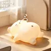 O Urso Que Ronca é uma Lâmpada de Silicone de Urso de Desenho Animado Fofo, uma Luz Noturna para o Quarto, uma Luz de Ambiente para a Mesinha de Cabeceira e uma Luminária de Mesa