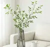 Set de Planta Verde Hidropónica de Pared con Soporte de Madera Natural para Flores de Pared para Sala de Estar, Dormitorio, Escritorio, Decoración Fresca, Plantas Fáciles de Cuidar