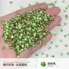Rhinestones Redondos de Colores con Base Puntiaguda, Rhinestones Apilados, Decoraciones para Uñas, Pequeños Rhinestones Apilados para Rellenar Espacios, Rhinestones para Uñas, Rhinestones de Colores, Diamantes para Uñas, Rhinestones con Base Puntiaguda