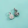 Accesorios de plata de ley S925 colgante de flor pequeña diente de león rama de flor de rosa hoja colgante decoración de pulsera de cristal
