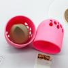 Caixa de silicone para guardar ovos de maquiagem, à prova de poeira e respirável, com estojo para pó compacto.