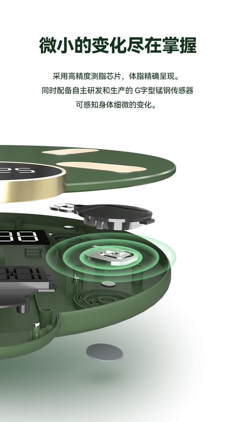 小海龟中文详情_02