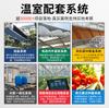 Engenharia Agrícola Estufa Inteligente Fruticultura Floricultura Multi-Vão Turístico Estrutura Galvanizada a Quente Tubo Personalização