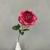 Flor artificial Austin individual estilo Ins, arreglo popular para escritorio, decoración suave de lujo ligero, flor artificial con sensación de alta gama para bodas