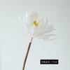 Alta calidad Simulación de Rama Única Epiphyllum Rama Larga Flor de Seda Boda Antiguo Accesorios de Fotografía Flor de Simulación Bianhua
