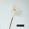 Yiwu Yanwu Flor de Germânio Simulada Flor Falsa Flor Guia de Estrada para Casamento Arranjo de Flores Adereços de Fotografia Flor Decoração de Casa Flor de Germânio de Ramo Único