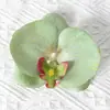 Cabezas de flores artificiales de orquídea mariposa, materiales para flores de pared, materiales para pasadores y accesorios para el cabello hechos a mano para DIY, piezas de flores y accesorios de pétalos para decoración de bodas