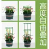 Enrejado para Plantas de Interior para Uso Doméstico, Adecuado para Plantas Trepadoras como Pitahaya, Rosa, Orquídea Uña de Cangrejo, Potos y Girasol