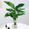 Planta de Ave del Paraíso Hidropónica en Maceta para Escritorio, Estilo Nórdico, Planta de Interior Perenne, Hojas Grandes, Cultivada en Agua, Tolera la Sombra, para Sala de Estar