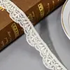 Dulong Roupas Acessórios de Renda Pequena Malha de Renda Bordada Tiras para Roupa Lingerie Sexy Malha Bordada Atacado