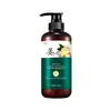 Shampoo de Gengibre Zhensha Sophora Ginseng Controle de Oleosidade Alcalino Condicionador Volumoso Shampoo Anticaspa Conjunto de Cuidados Dropshipping