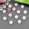Nuevo Polvo Sakura Flores Finas Brillantes Bolsa de Materiales Accesorios para Uñas Florales Mezclados Resina Luminosa Mariposa Accesorios para Uñas Mezclados