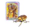 Escarabajo de Combate Simulado de Liquidación Transfronteriza Modelo de Insecto Unicornio Juguete Educativo para Niños Gateo Simulado